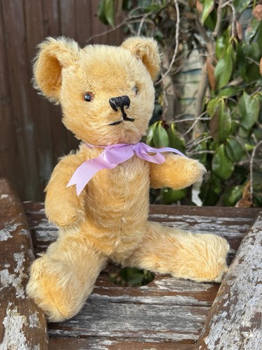 Pedigree teddy bear - teddy, old
