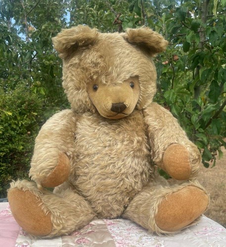 Large old steiff - 25",