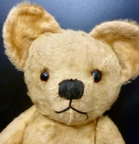 Old mohair teddy bear antique - old,