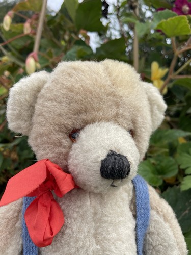 Teddy bear chad valley - chad, old
