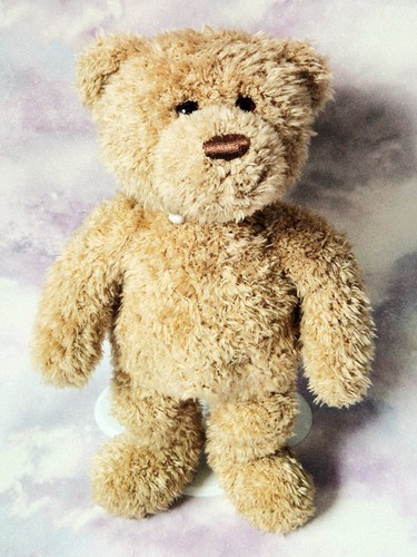 Bear factory vintage shaggy - vintage,