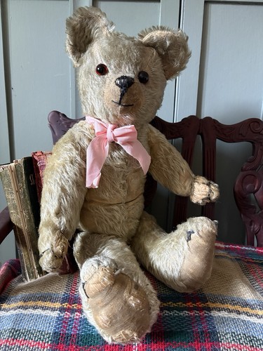 Antique english teddy bear - english,
